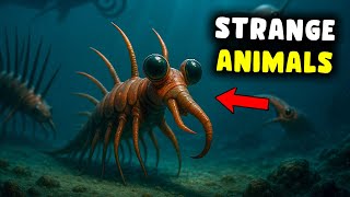 The Strangest Extinct Creatures Ever Discovered
