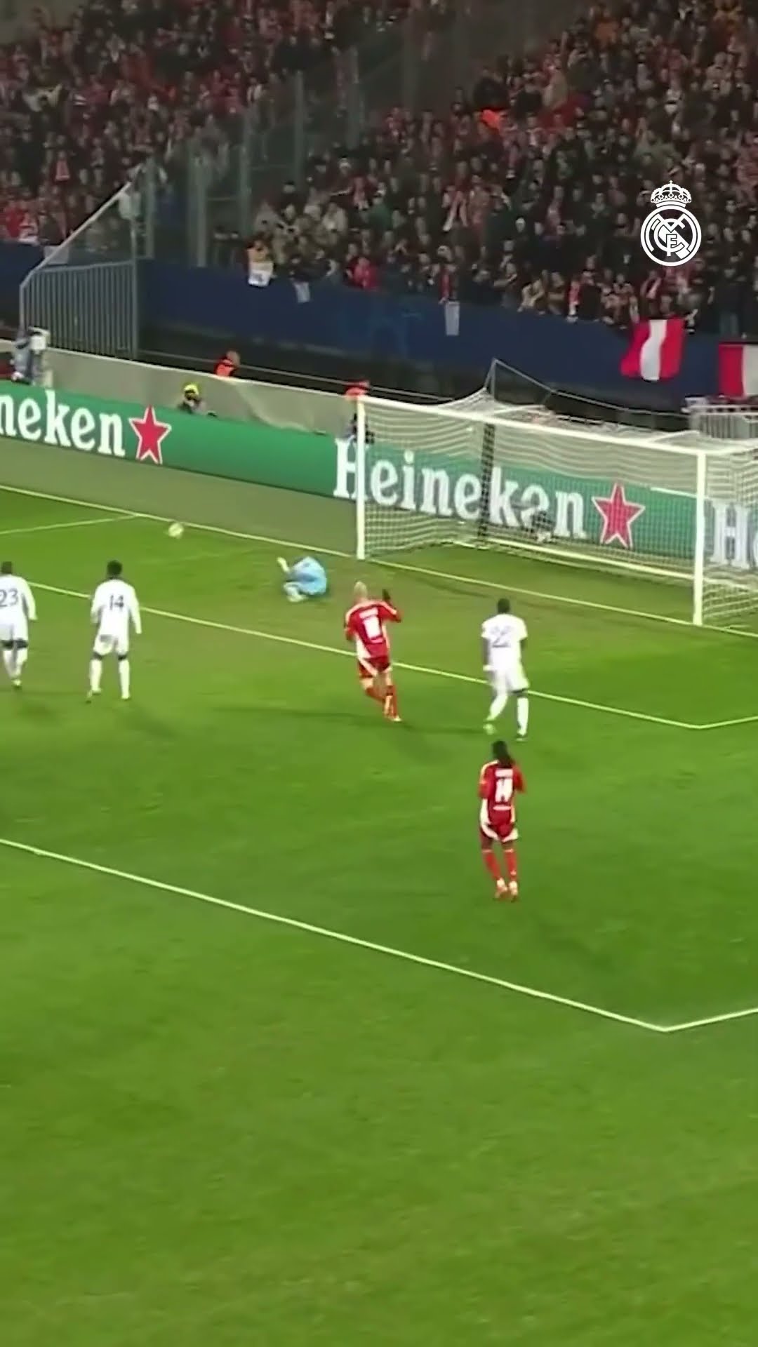 ?? #Courtois  ?? #UCL #RealMadrid