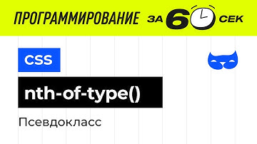 CSS с нуля. Псевдокласс nth-of-type()