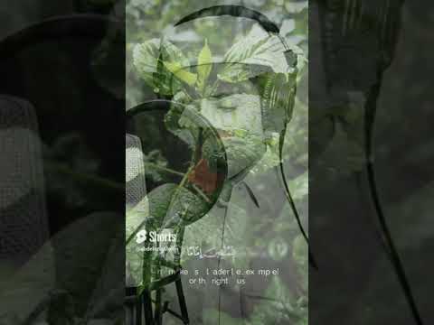 ربنا هب لنا من ازواجنا وذرياتنا قرة اعين اجمل الآيات سورة الفرقان الآيه 74 75 الشيخ عبدالعزيز سحيم