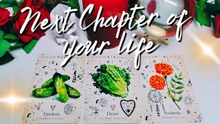 ✨ NEXT CHAPTER OF YOUR LIFE ✨ Timeless Pick a Card Reading