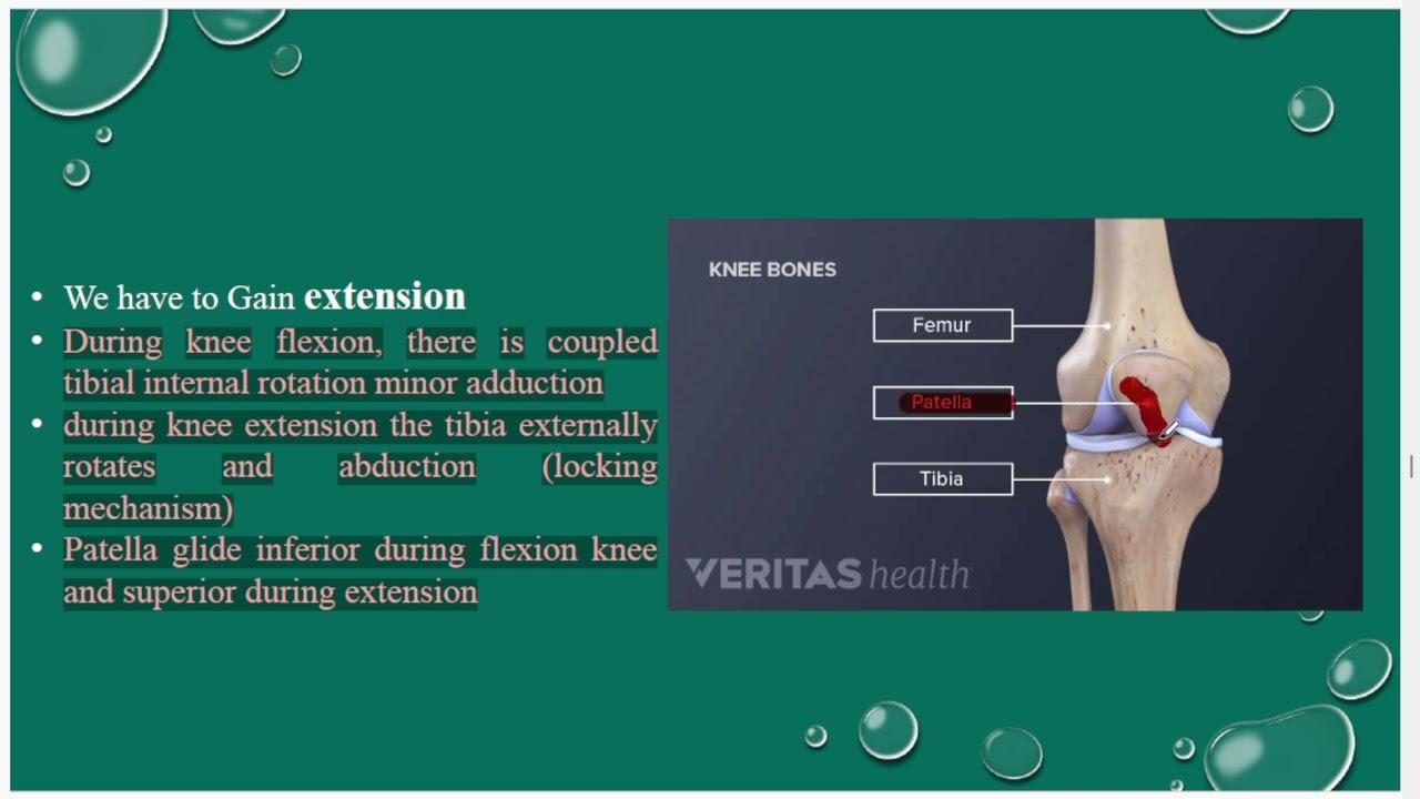 Hip, knee and ankle therapeutic exercises - Dr Ahmed Khalil