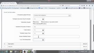 Florida Courts E-Filing Portal - New Case - Case Information