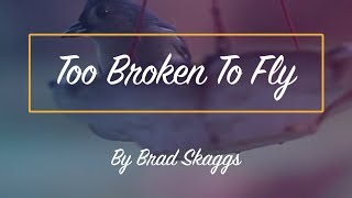 Too Broken To Fly - Mental Health Poetry