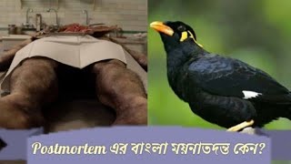 Postmortem (পোস্টমর্টেম) এর বাংলা নাম “ময়নাতদন্ত কেন