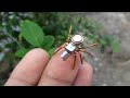 How To Make Mini  Spider Robot  🤖