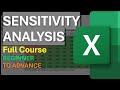 Sensitivity Analysis in Excel Full Course | A Beginner's Guide