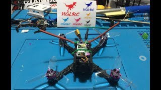 HGLRC Hornet 120 Review