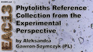 Phytoliths Reference Collection from the Experimental Perspective