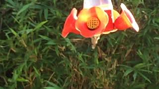 2017 09 17 IMG 2718