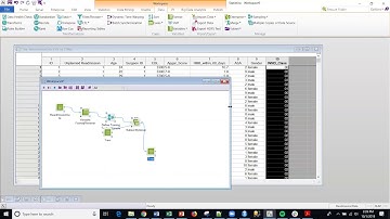 S59 Statistica - Neural Networks for Predicting Hospital Readmissions