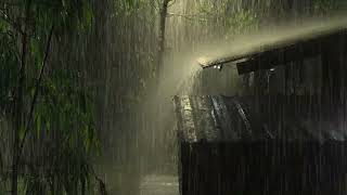 Fall into Good Sleep Instantly with Heavy Rain & Intense Thunder on Metal Roof | Night Rain 10 Hours