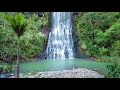Piha | New Zealand