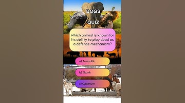 Animals quiz 3 #shorts
