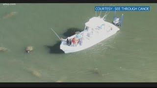 Man accused of harassing manatee near Weeden Island