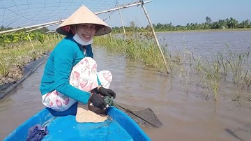 Thăm 12 Cửa Ngục Mùa Nước Nổi