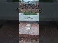 Тула город Герой🗿 Брестская крепость🔥
