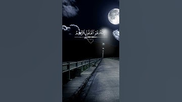 القارئ احمد الشافعي | قرآن كريم بصوت جميل
