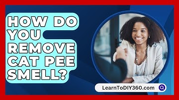 How Do You Remove Cat Pee Smell? - LearnToDIY360.com