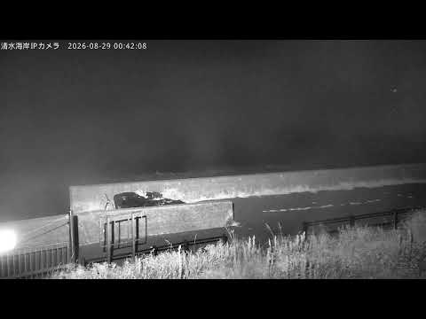 Shimizu Coast & Miho live cam preview