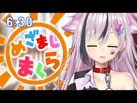 【朝活】めざましまくらฅ^.  ̫ .^ฅ　2022/2/11