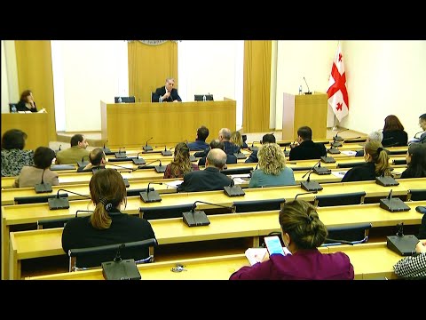 ფინანსთა მინისტრი პარლამენტში არ მივიდა