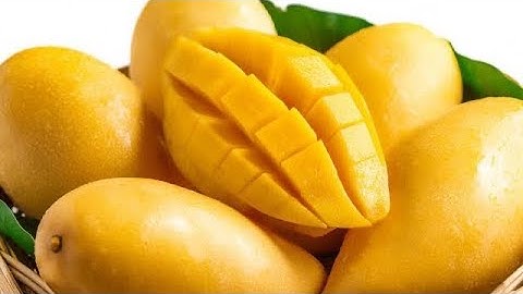 10 Lợi Ích tuyệt vời Quả Xoài  đối với sức khỏe và những lưu ý khi ăn - Cây Cỏ Việt Nam