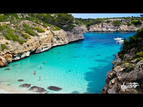 MitiS Innocent Discretion 