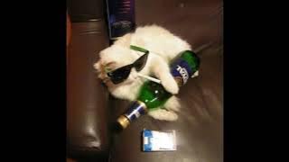 TRAGEDI KAMAR MANDI - DJ MAHESA (SLOWED & REVERB) Viral Tiktok