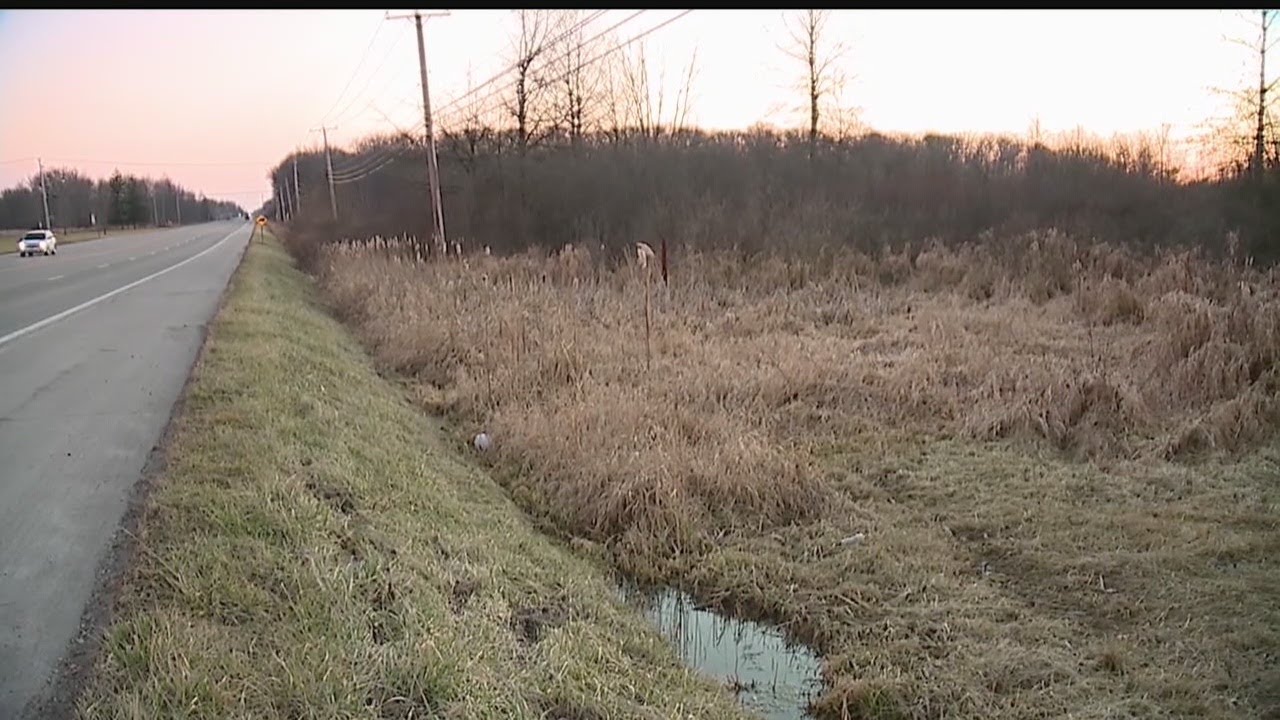 New jobs, wetland preservation considered when weighing Lordstown battery plant decision YouTube