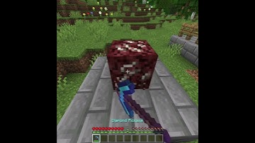 Fortune 1000 vs Nether Quartz Ore