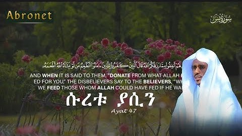 ሱረቱ ያሲን ሸህ ሰኢድ ግርማ | سورة يس | Surah yasin |