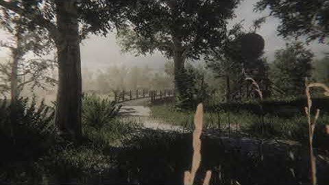 S.T.A.L.K.E.R build1935 remake UNITY3D