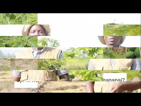 Video: Nini Unahitaji Kujua Wakati Wa Kununua Mbegu Za Mboga, Maua Na Wakati Wa Kuziandaa Kwa Kupanda