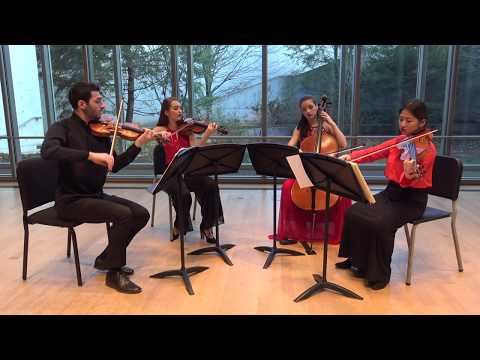 Beethoven String Quartet Op. 95 "Serioso" I. Allegro con brio | Almas Quartet