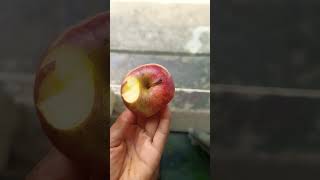apple flower design #viral shorts #trending so beautiful design ❤️