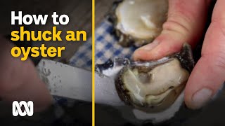 How to shuck an oyster with Paul West | Food & Recipes | ABC Australia