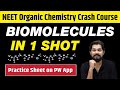 BIOMOLECULES in One Shot - All Concepts, Tricks & PYQs | Class 12 | NEET