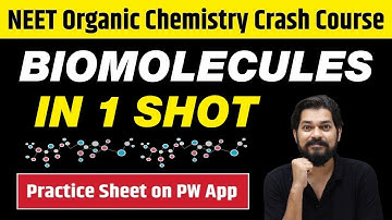 BIOMOLECULES in One Shot - All Concepts, Tricks & PYQs | Class 12 | NEET