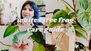 How To Take Care Of Whites Tree Frogs | Care Guide