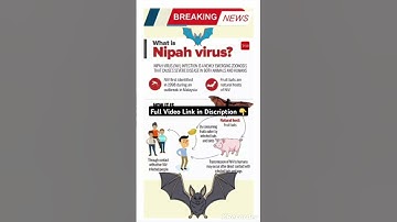 Nipah Virus #shorts #shortsvideo #nipah