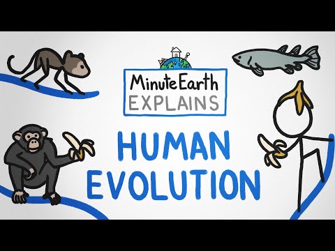 MinuteEarth Explains: Human Evolution
