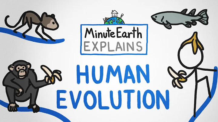 MinuteEarth Explains: Human Evolution - DayDayNews