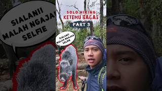 Part 3 🐷 Bagas Cikuray | kuajak selfie 📸 #hiking #mountains #pendaki #gunung