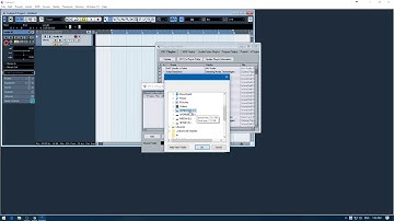 Auto Tune 8.1 mới nhất và sử dụng với Cubase & Chi tiết Từng Cm