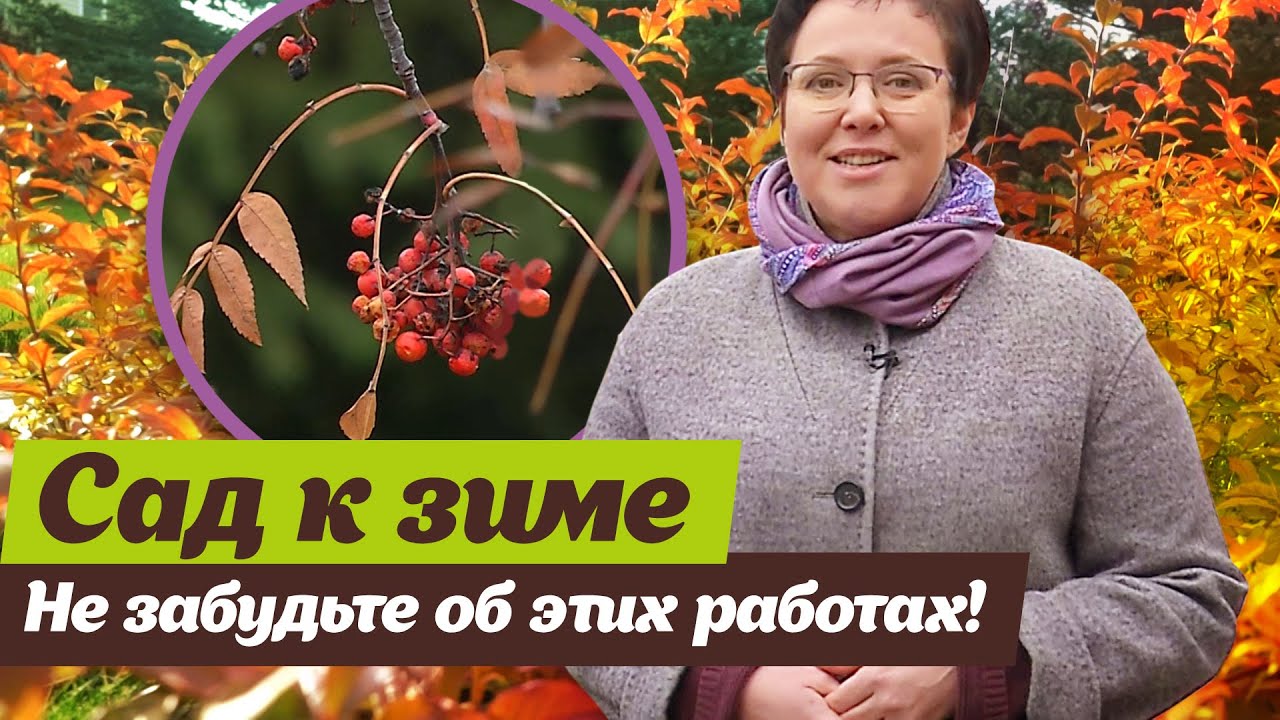 Работы в саду осенью. Подготовка к зиме - YouTube