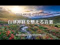 自律神経を整える音楽～【めまい・耳鳴り・不安感・恐怖・イライラ・食欲不振・不眠】ストレスにより乱れた自律神経を整える～｜Autonomic nerve adjustment music