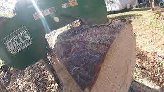 Sawmill work large pine logs with a Woodland Mills HM126 and loading with a bucket truck