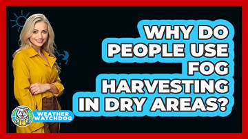 Why Do People Use Fog Harvesting In Dry Areas? - Weather Watchdog