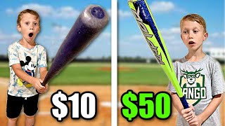 $10 vs $50 Baseball Bats *Which is Better?* screenshot 4